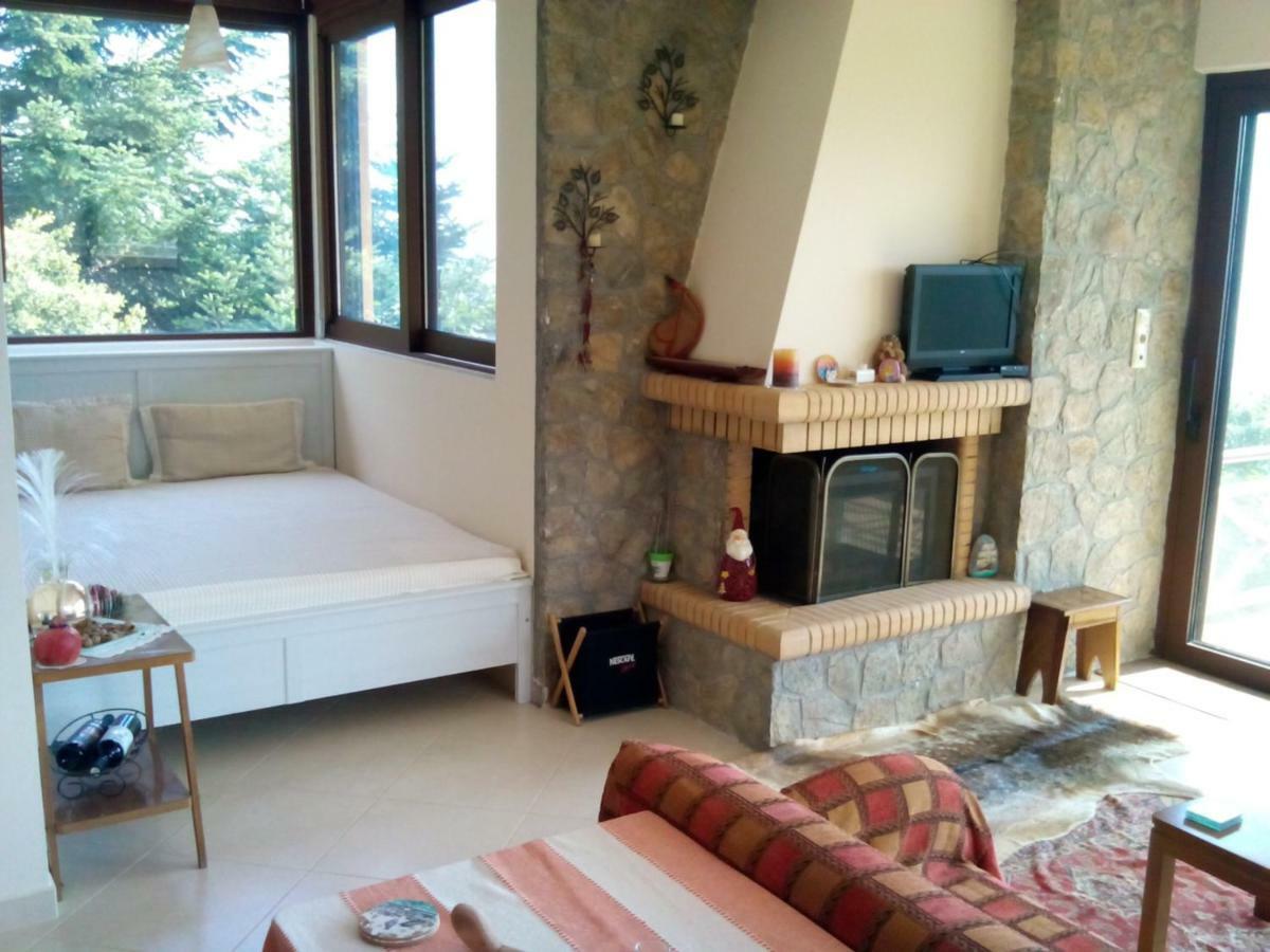Elatos Cozy Studio 上特里卡拉 外观 照片